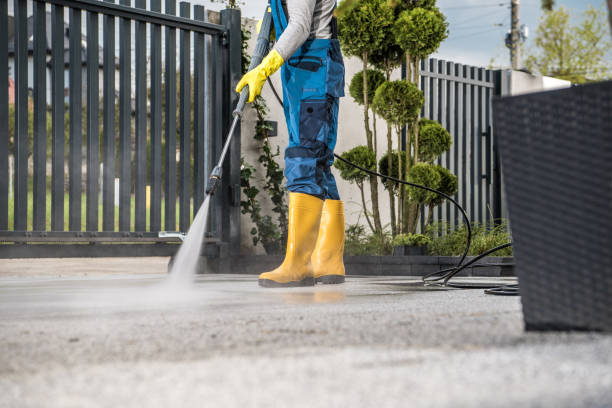 Best Gutter Cleaning  in Gainesville, VA