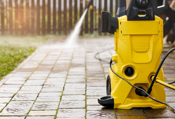 Animal Enclosure Cleaning in Gainesville, VA
